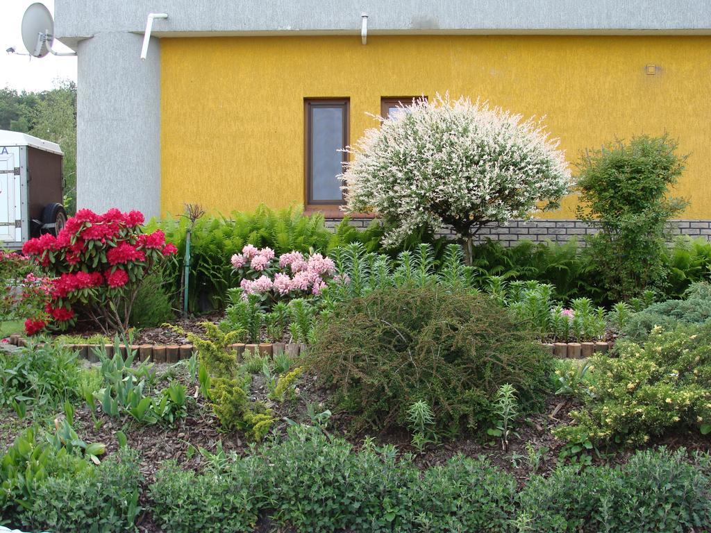 Gospodarstwo Agroturystyczne Ania I Filip Izabelin  Buitenkant foto